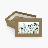 Lepenkové krabice, Rostlinná, 15x11 cm