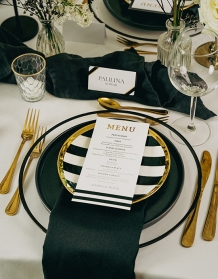 Cz_menu, Elegantní kolekce - verze 1