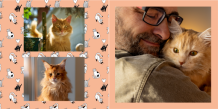 Fotokniha - Kolekce Kočky fotokniha, 30x30 cm