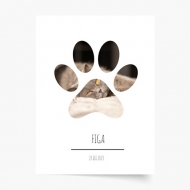 Plakát, Tvůj mazlíček - kočka, 21x30 cm