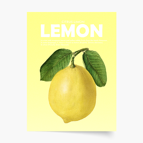 Plakát, Ovoce - Citron, 21x30