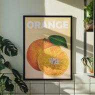 Plakát, Fruits - Orange, 20x30 cm