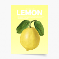 Plakát, Fruits - Lemon, 20x30 cm