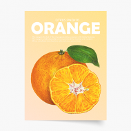 Plakát, Fruits - Orange, 20x30 cm