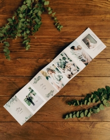 Leporelo z fotografií, Kolekce Botanická