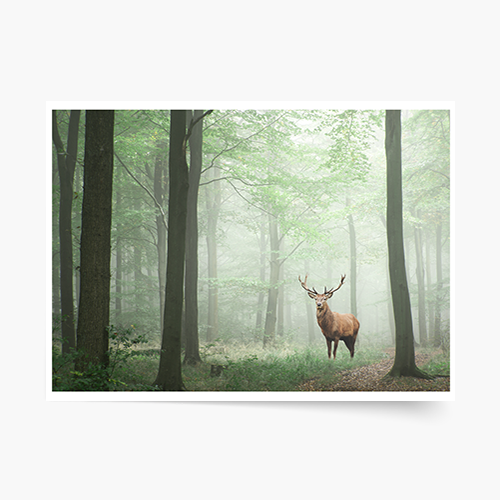 Plakát, Jelen, 30x21