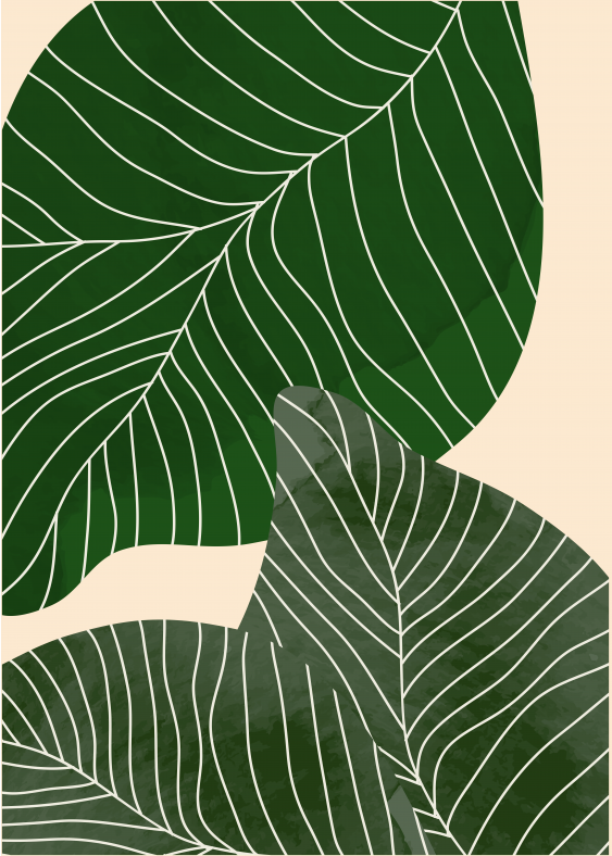 Plakát, Žena - Listy III, 50x70