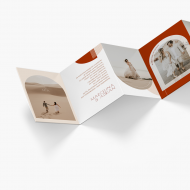 Leporelo z fotografií, Kolekce Moderní