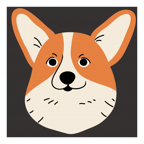 Plakát, Psi: Corgi, 30x30