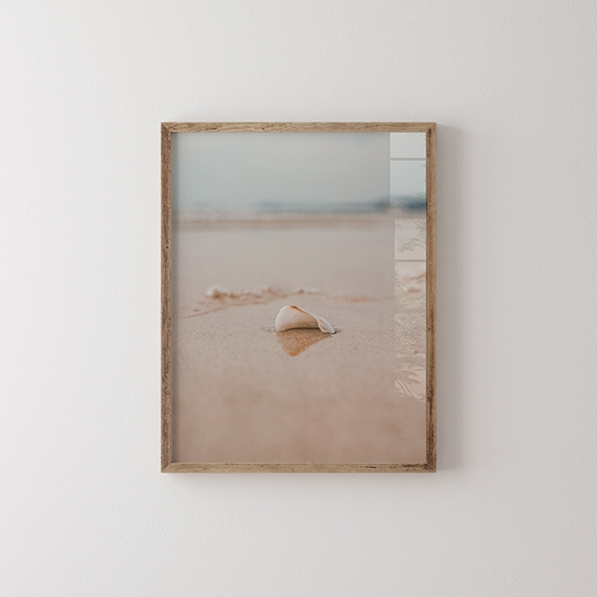 Plakát, Moře: Shell, 30x40