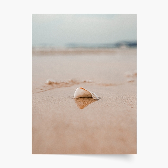 Plakát, Moře: Shell, 30x40