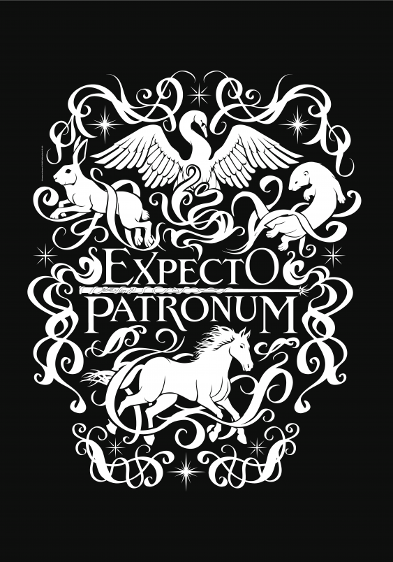 Plakát, Harry Potter: Čekám na Patrona, 40x60