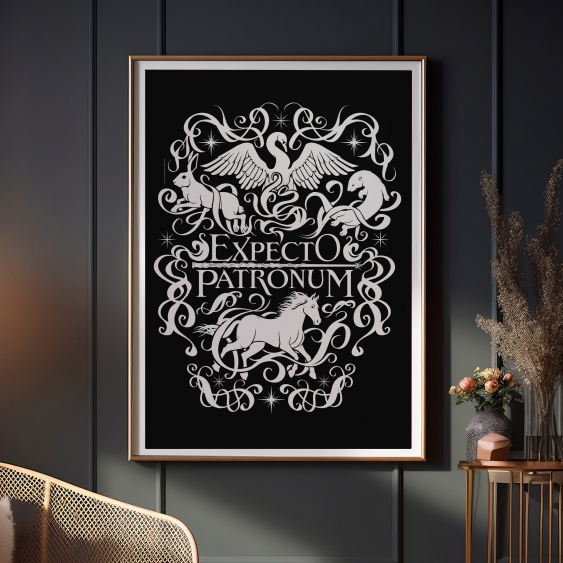 Plakát, Harry Potter: Čekám na Patrona, 40x60