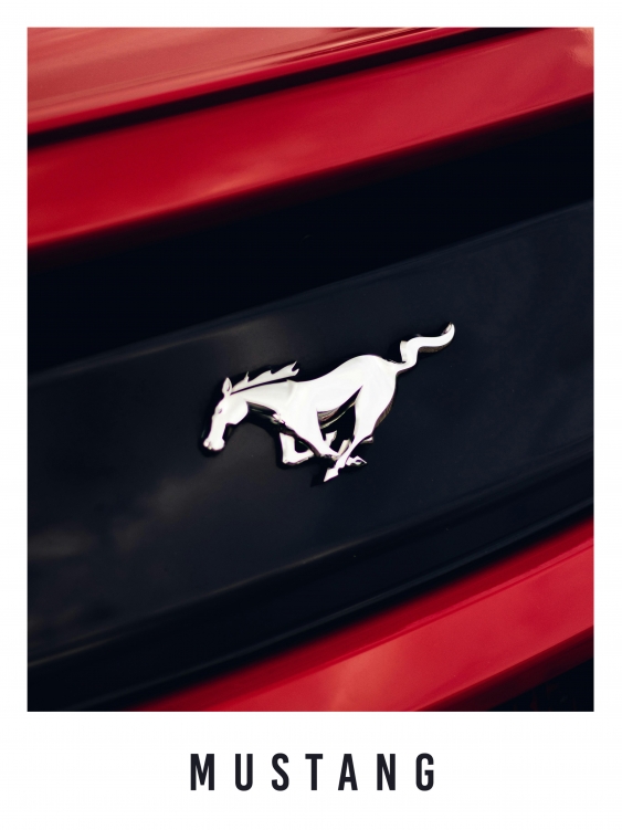 Plakát, Auta: Mustang, 21x30