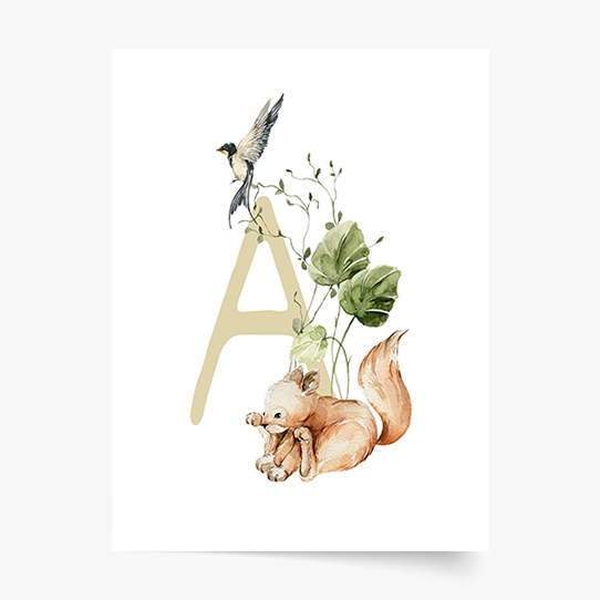 Plakát, Abeceda - A: Lesní zvířata, 21x30