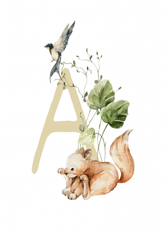 Plakát, Abeceda - A: Lesní zvířata, 21x30