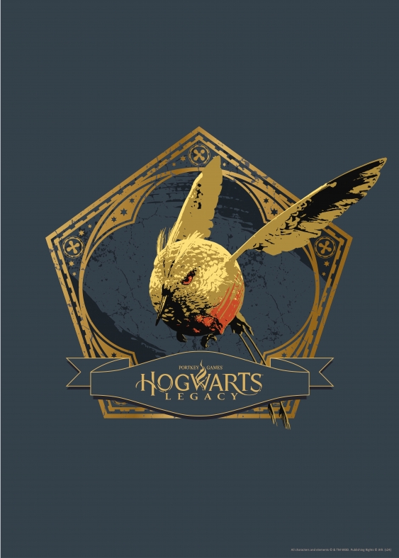 Plakát, Harry Potter: Bradavický odkaz, 50x70