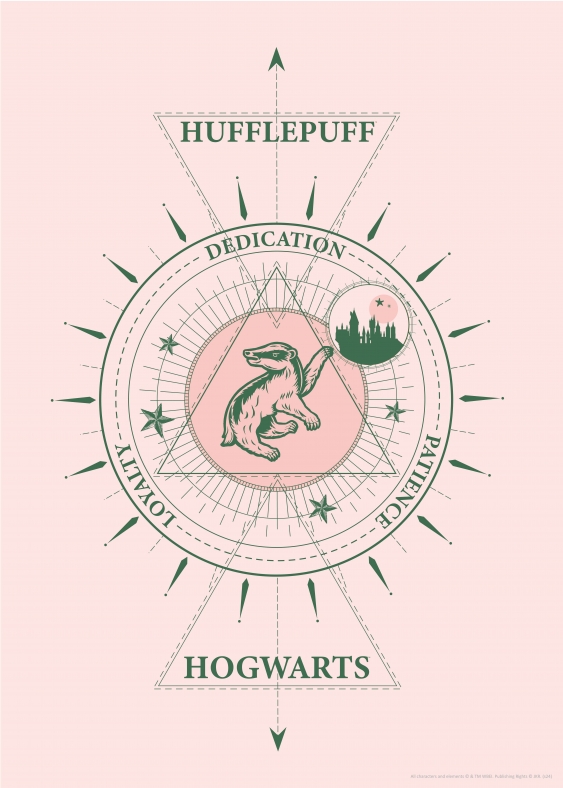 Plakát, Harry Potter: Mrzimor, 50x70