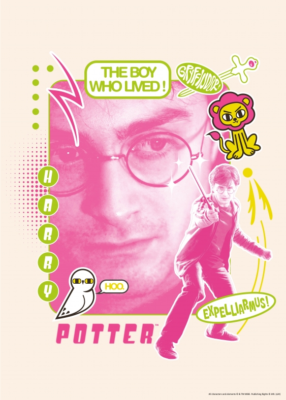 Plakát, Harry Potter: Harry - Expelliarmus, 30x40