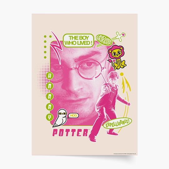 Plakát, Harry Potter: Harry - Expelliarmus, 30x40