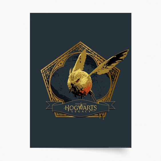 Plakát, Harry Potter: Bradavický odkaz, 50x70