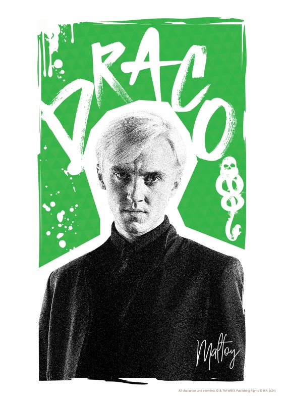 Plakát, Harry Potter: Draco Malfoy, 30x40