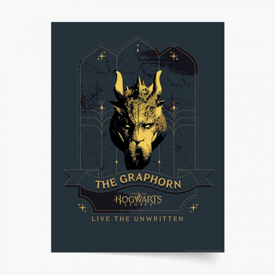 Plakát, Harry Potter: Graforn, 50x70