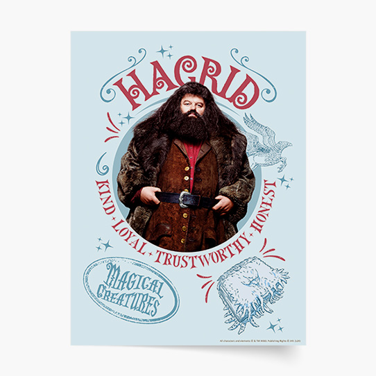 Plakát, Harry Potter: Hagrid, 30x40
