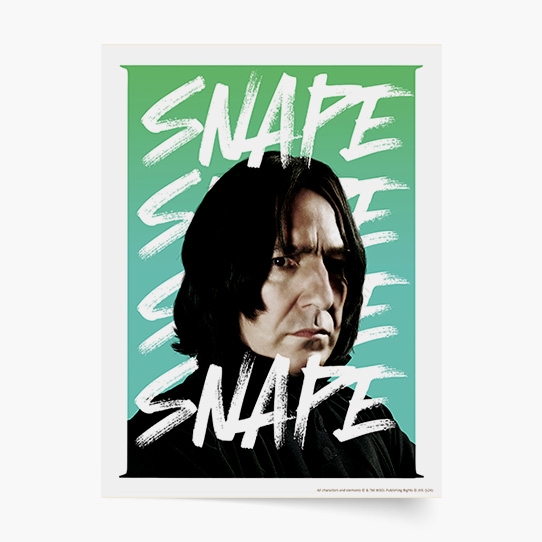 Plakát, Harry Potter: Snape, 30x40