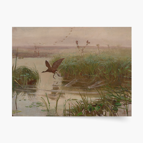 Plakát, Józef Chełmoński "Vodní slepice", 40x30