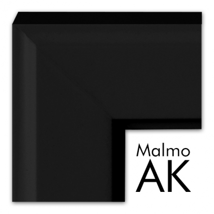snímek