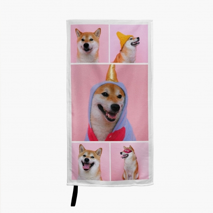 snímek