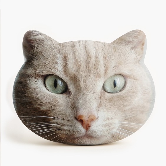Polštář 3D personalizovaný, Samet, Váš CAT projekt, 33X33 cm