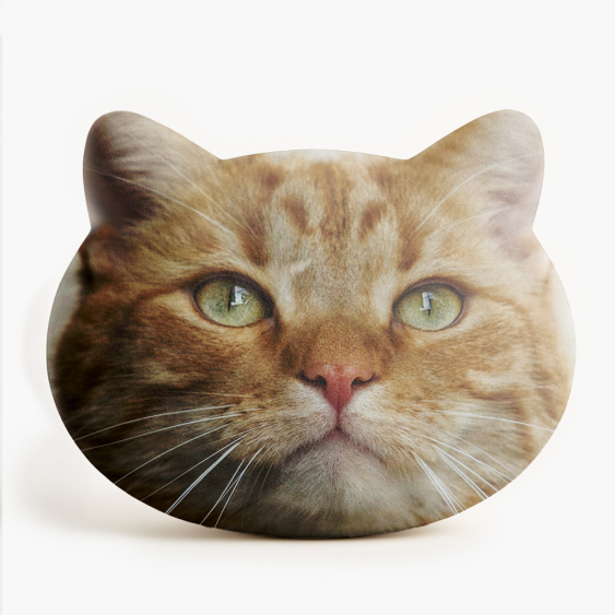 Polštář 3D personalizovaný, Samet, Váš CAT projekt, 33X33 cm