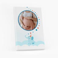 Obraz, Sloník, 20x30 cm