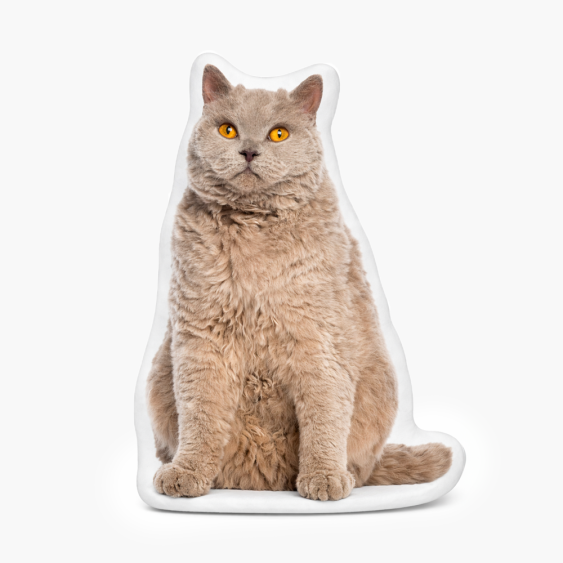 Polštář 3D personalizovaný, Samet, Tvůj tvar, 30x30 cm