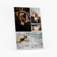 Obraz, Můj mazlíček, 20x30 cm