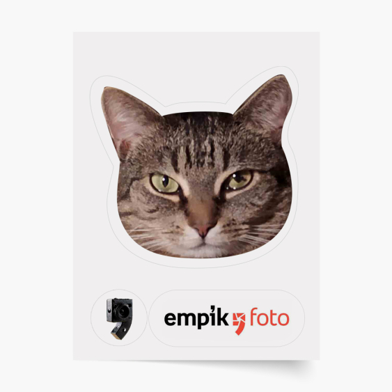 Samolepka, 1 dílků