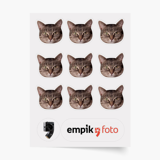 Samolepka, 9 dílků