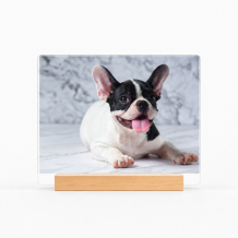 Fotografie na akrylovém skle Váš mazlíček, 20x15cm